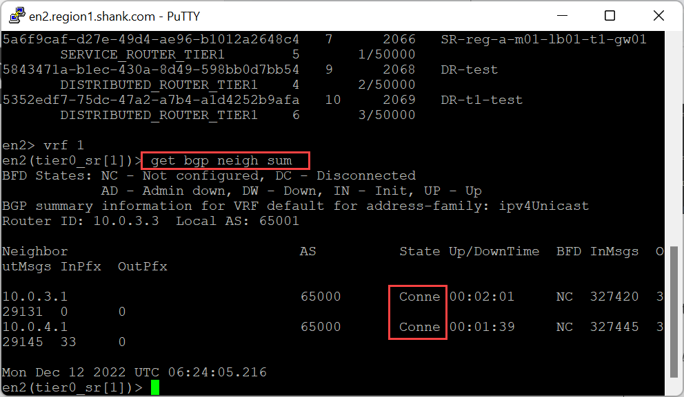 VMware NSX BGP adjacency