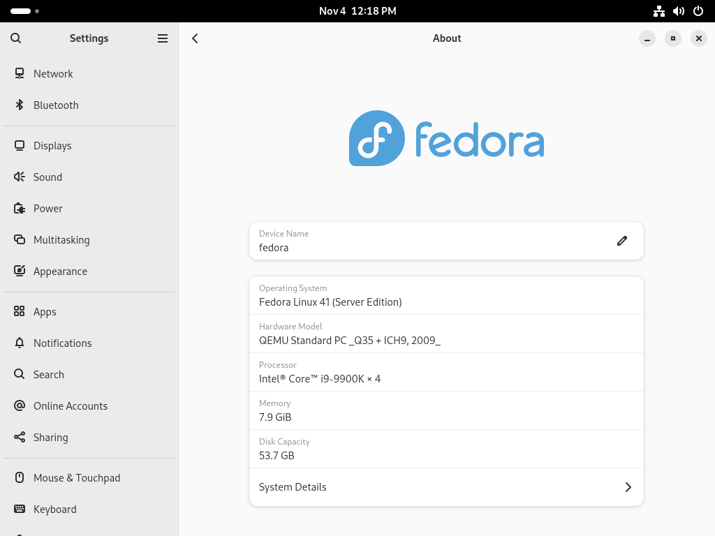 Verify Fedora 41 Desktop