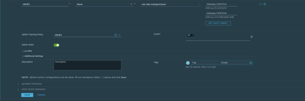 vlan-backed segment with named teaming