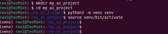 Setup Python Virtual Environment