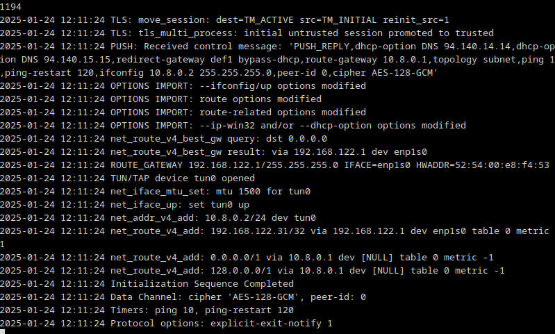 Connect to OpenVPN Server