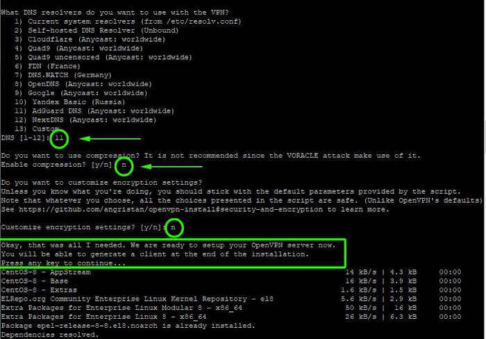 Configure DNS for OpenVPN