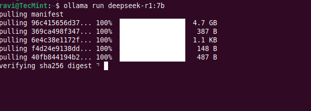 How to Install DeepSeek Locally with Ollama LLM in Ubuntu 24.04