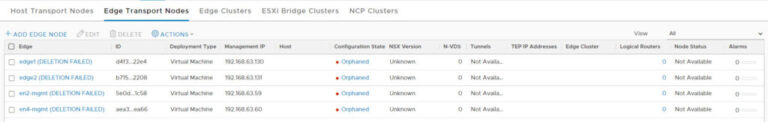 NSX-T Edge Deletion Failed