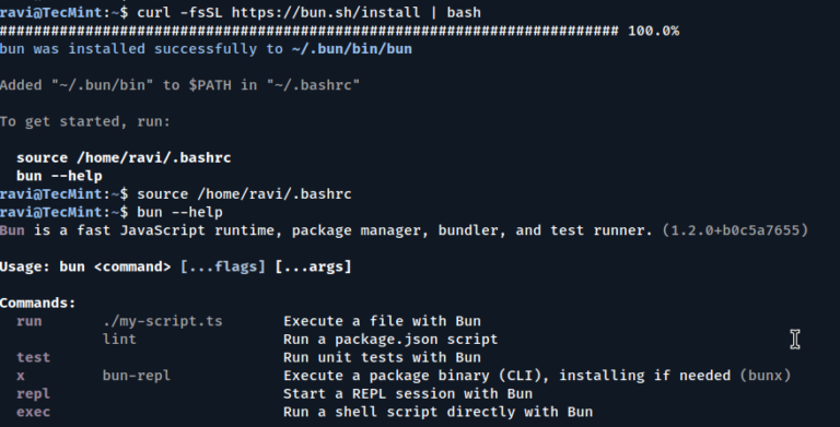 Bun: A Faster JavaScript Runtime for Linux Users