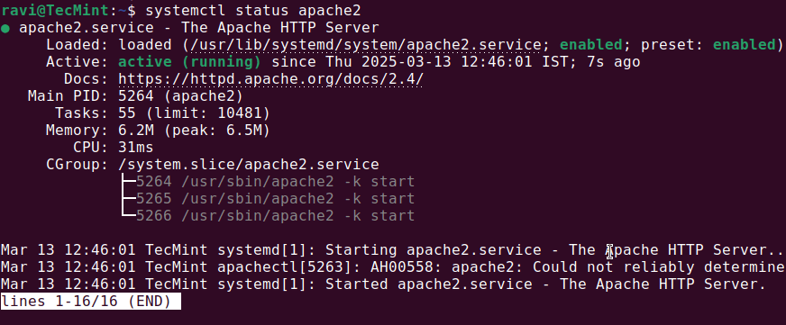 Check Running Service Status