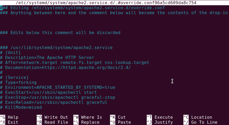 Open Systemd Service Configuration File