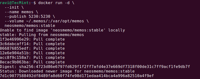 Install Memos in Linux