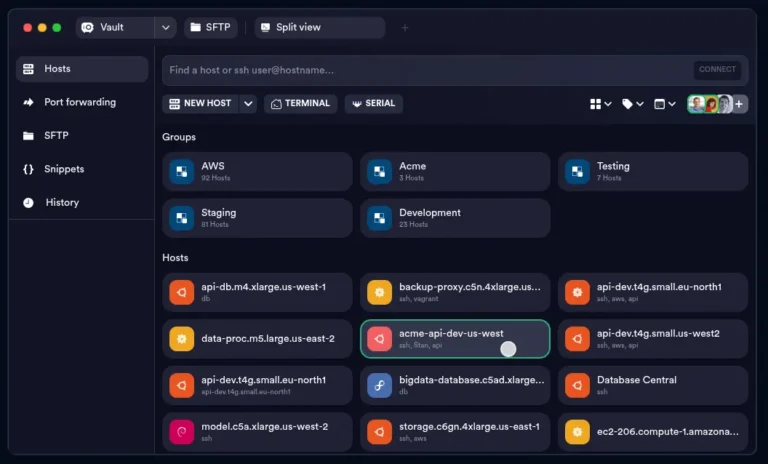 How to Install and Use Termius SSH Client on Linux