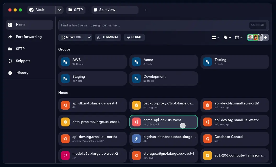 Terminus Modern SSH Client