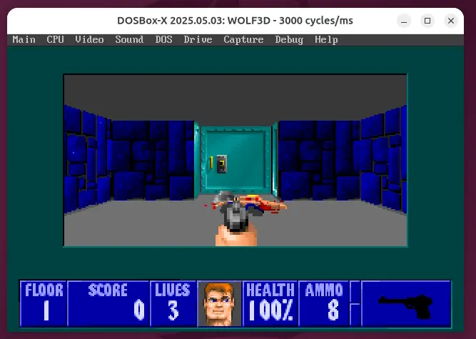 Running Wolfenstein 3D Game
