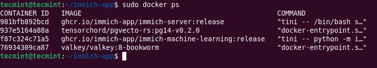 Verify Immich Docker Containers
