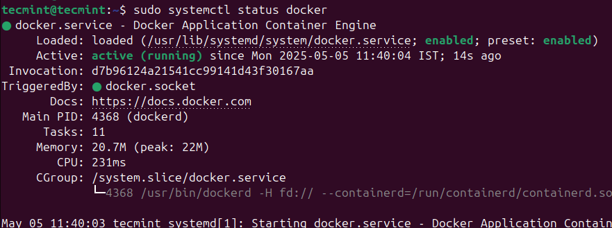 Verify Docker Status