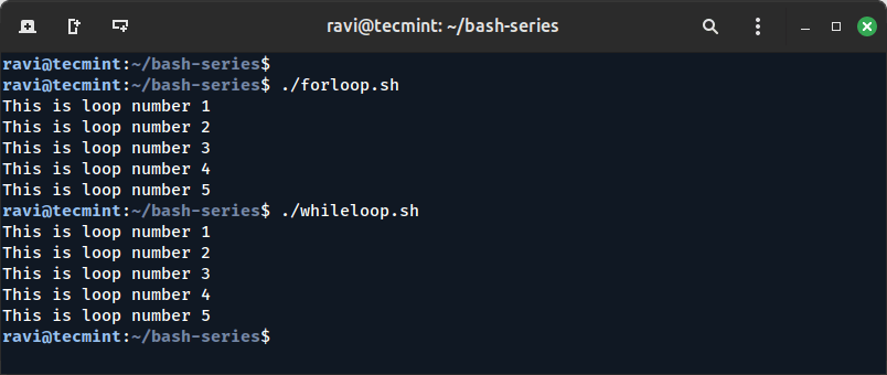 Using for Loops in Scripting
