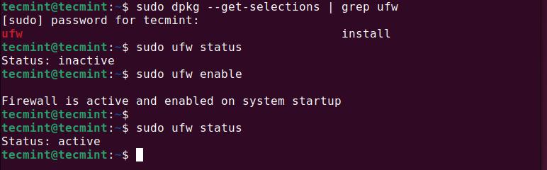 Install UFW in Ubuntu
