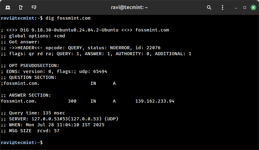 Query Domain DNS