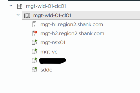 VCF 9 inventory all fleet appliances deleted