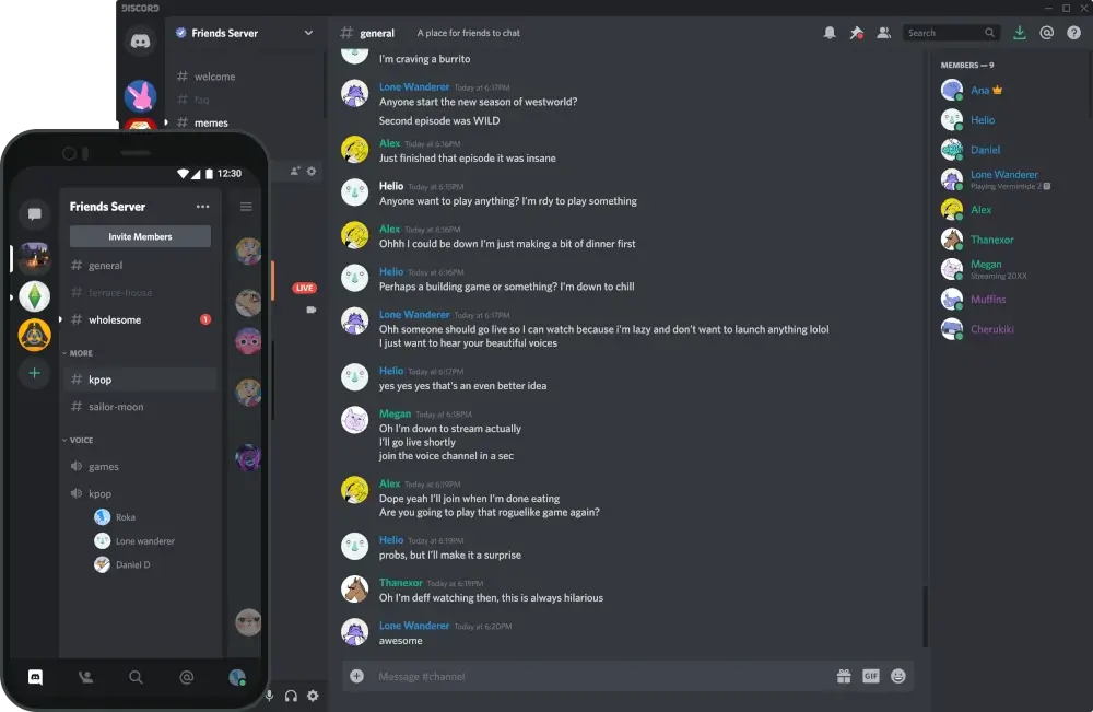 Discord - Free Voice, Video, and Messaging for Everyone