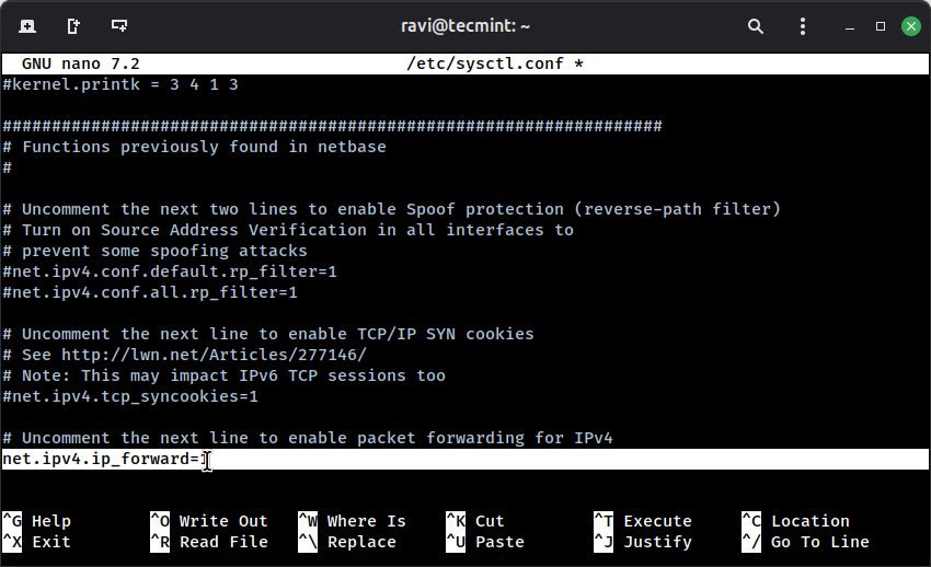 Enable IP Forwarding on Ubuntu