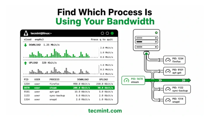4 Tools to Find Which Linux Process Is Using Your Bandwidth