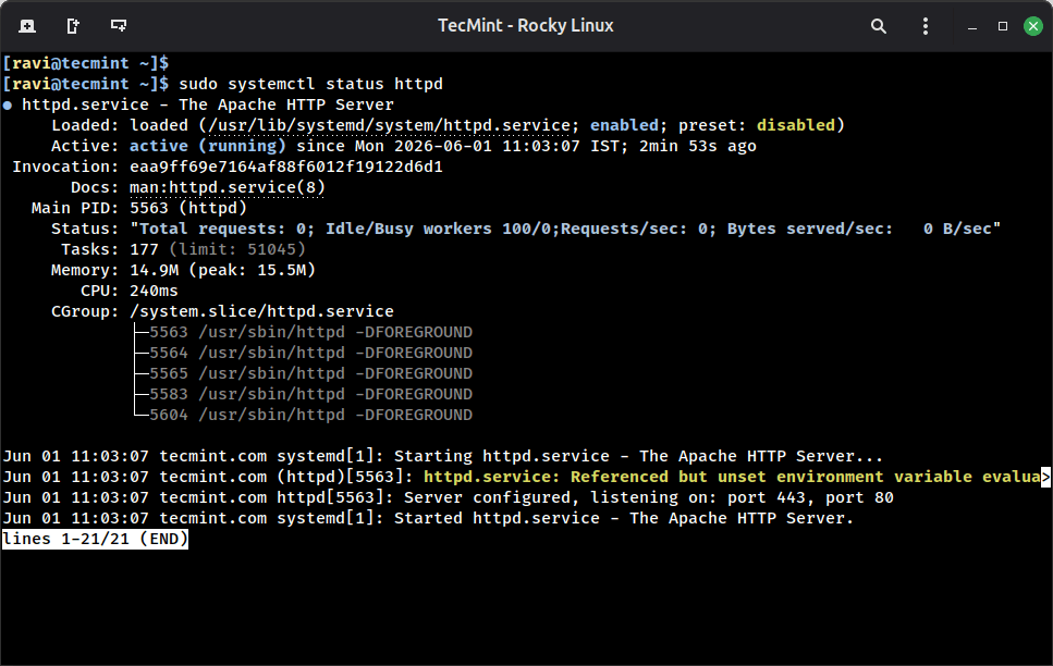 Check Apache Server Status