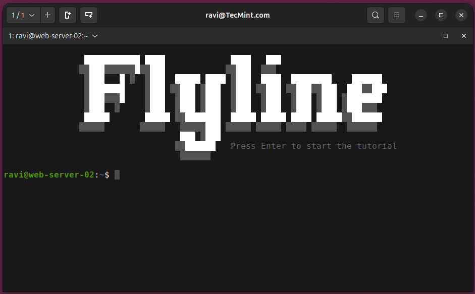 Flyline Interactive Tutorial
