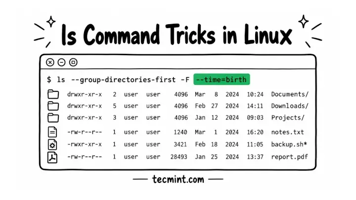 10 Useful ‘ls’ Command Tricks for Linux Users